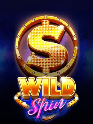 Wild Spin cover